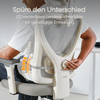 CLOUVOU CleverSeat - Ergonomischer Testsieger Bürostuhl - Clouvou Grau